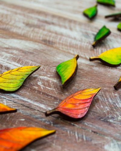 CEDAR Leaves on the Table