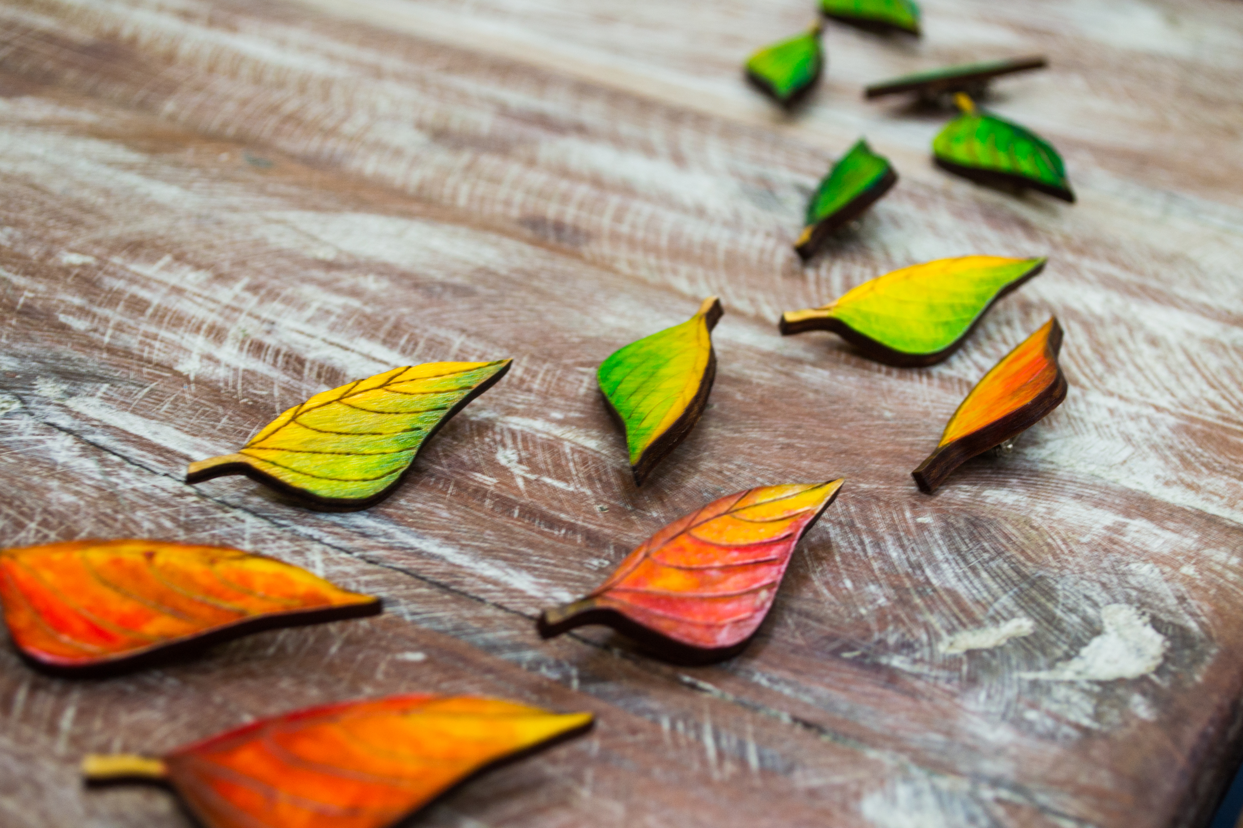 CEDAR Leaves on the Table